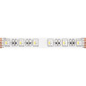 Светодиодная лента MAYTONI 24В 5050 19,2Вт/м RGBW 6000K 5м IP20 10181